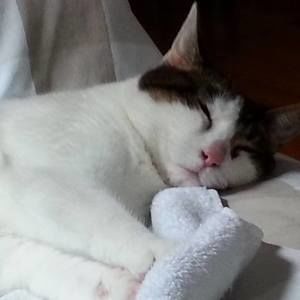 Meet your Posher, Adrienne